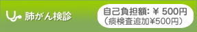 肺がん検診　自己負担額￥500